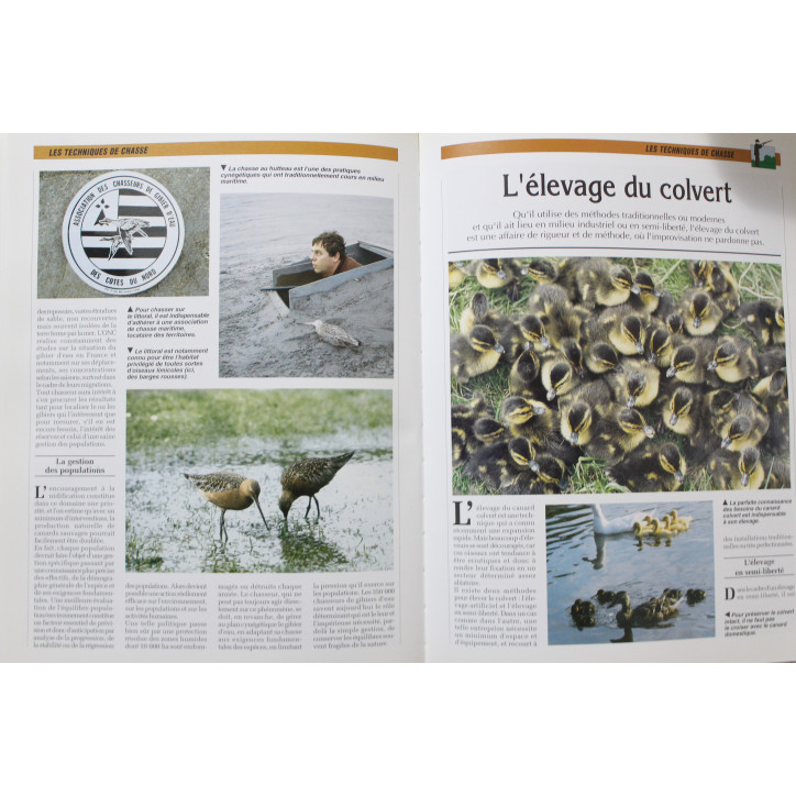 Le Guide de la chasse au gibier d'eau : matériel et techniques de base