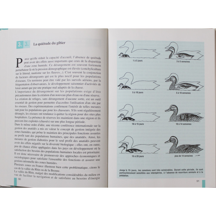Etangs et marais : Aménagements, entretien, chasse
