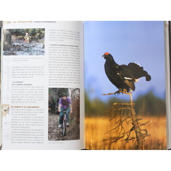 Chasse L'encyclopédie de Pascal Durantel