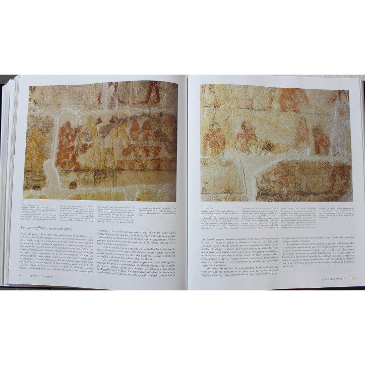 Livre L'Egypte : sur les traces de la civilisation pharaonique