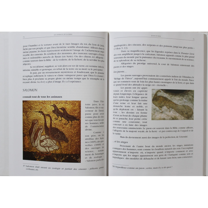 Livre Les animaux de la bible : allégories & symboles de Olivier Cair-Hélion