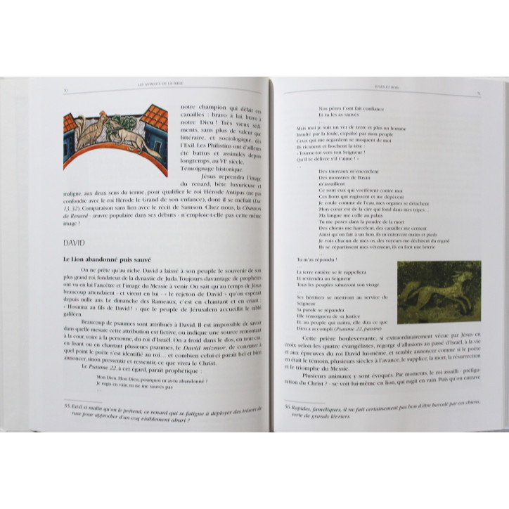 Livre Les animaux de la bible : allégories & symboles de Olivier Cair-Hélion