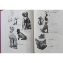 Livre Décors des céramiques françaises : Tome 1 : Dictionnaire