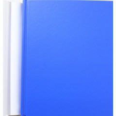 Livre Les coulisses de Versailles de P. Bonafoux et G. Targat