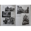 Livre Die Waffen-SS: Uniformen und Abzeichen de Rolf Míchaelís 