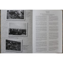 Livre Die Waffen-SS: Uniformen und Abzeichen de Rolf Míchaelís 