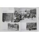 Livre 1944 de Alain Decaux