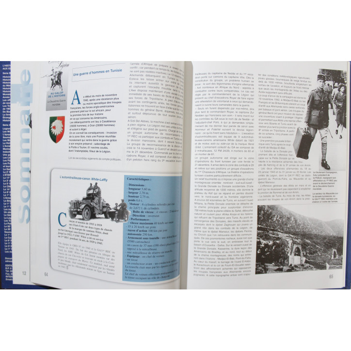 Livre Cavalerie Légion de Pierre Dufour