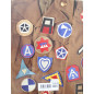 Livre United States Army Shoulder Patches and Related Insignia from World War I to Korea: Vol 3