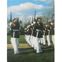 Livre Marine Badges and Insignia of the world