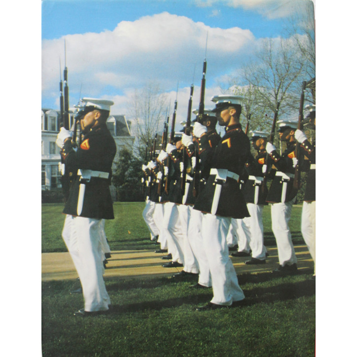 Livre Marine Badges and Insignia of the world
