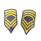 Lot de 2 Grades tissu US army ref 200