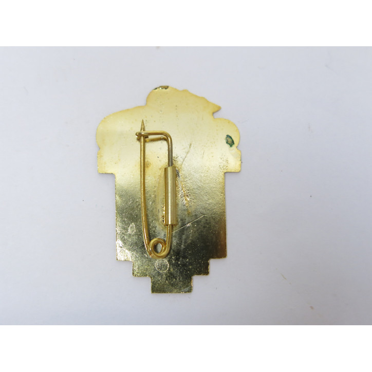 Insigne 13 DBLE légion ref 800