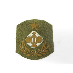 Insigne tissu US 14/18 Enginner  ref 11 