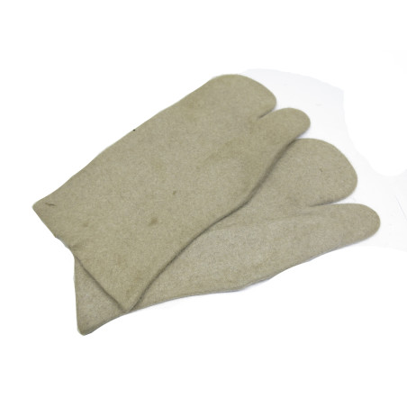 Paire de gants Allemand ww2 Réf 223 