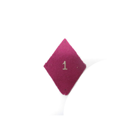 Losange de bras Troupe / Militaire du Rang de la 1ère Section d'Infirmiers Militaires 