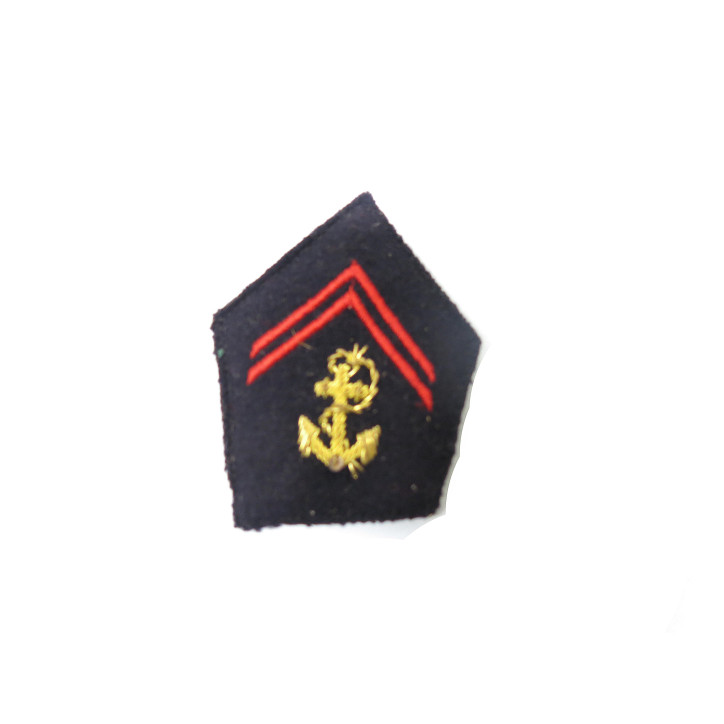 Pattes de Col brodées or Troupes Coloniales PARACHUTISTE ref 223
