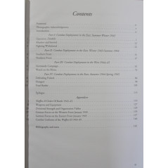 Livre Into the Abyss: The Last Years of the Waffen SS 1943-45: A Photographic History