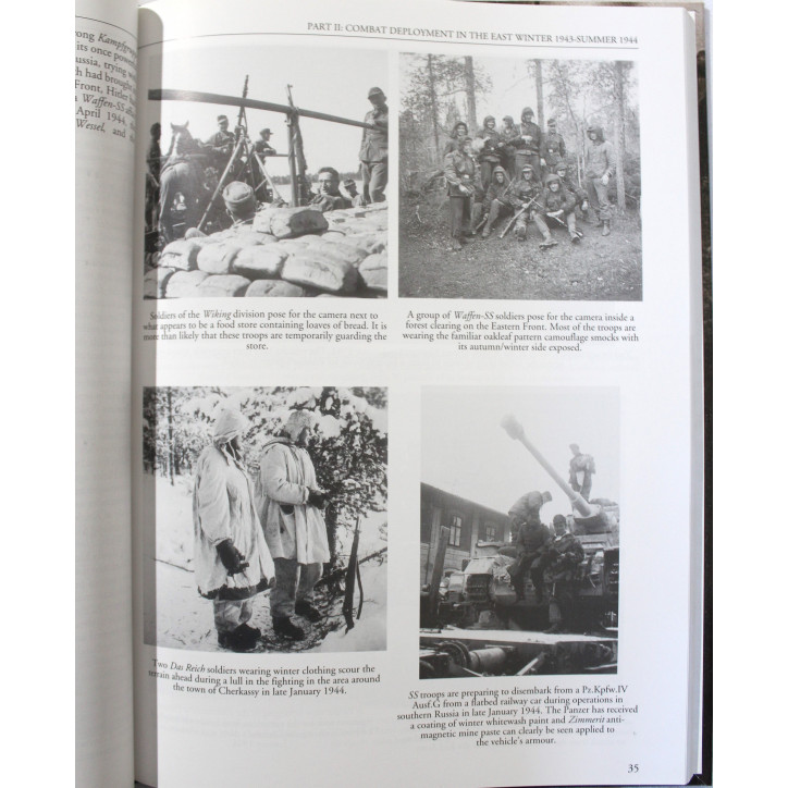 Livre Into the Abyss: The Last Years of the Waffen SS 1943-45: A Photographic History