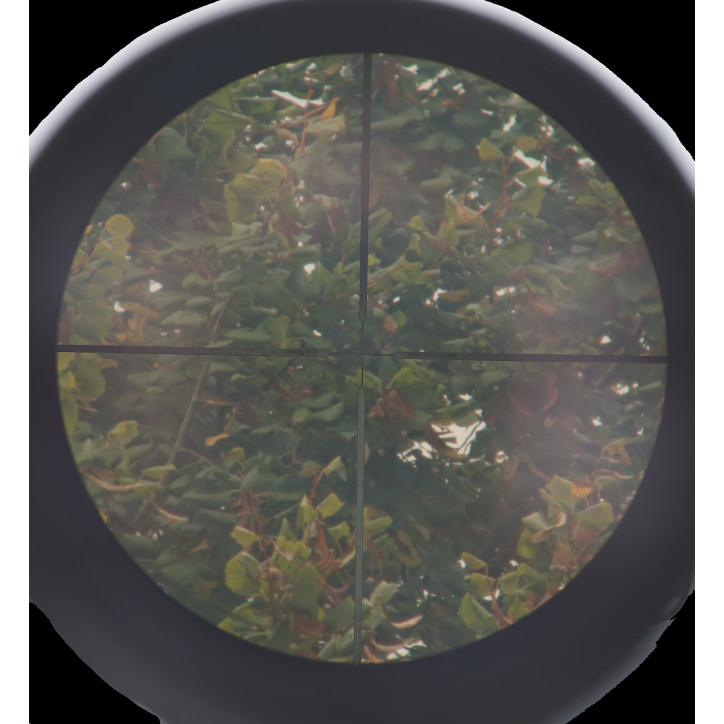 Carabine Ruger M77 - Cal. 243 WIN - Catégorie C
