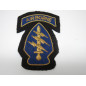 Patch US spéciale force Vietnam cannetille or ref 423