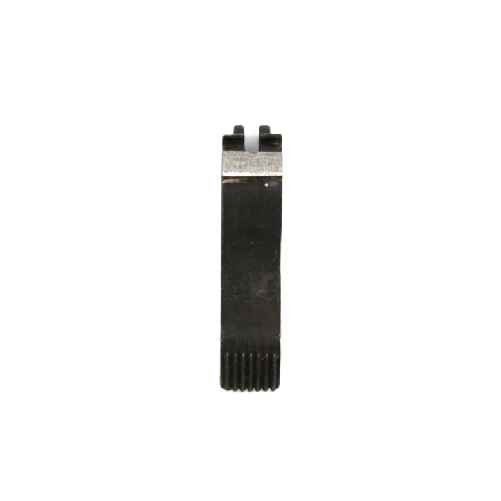 Chien PA 35 A