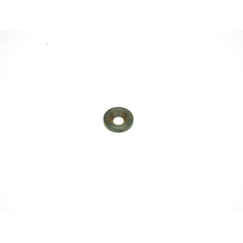 Rondelle de plaquettes  Walther TPH 22 long rifle 