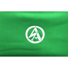 Coffret de présentation et sa dague d'honneur SA 1941 RZM