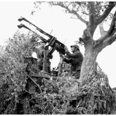 Cache flamme Hotchkiss