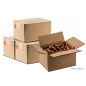 Carton de 250 munitions 7.62 x 54R Mosin FMJ Amorce Berdan non corrosive