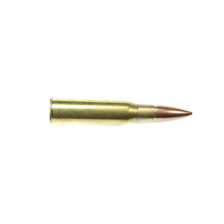 7.62 Mosin Nagant étui laiton PPU