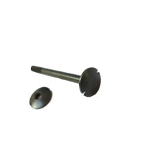 Vis renfort de crosse  fusil Lebel ref  70