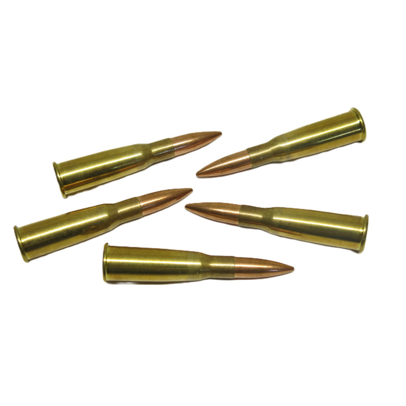 5  cartouches neuves  PPU   8 mm fusil  Lebel FMJ