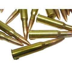 Lot de 24 cartouches Sellier Bellot  7.62 Mosin Nagant FMJ
