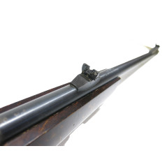 Carabine Mossberg North Haven 453 calibre 22 long rifle