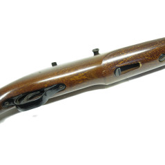 Carabine Mossberg North Haven 453 calibre 22 long rifle